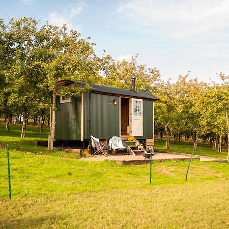 Harrys Hideout - Shepherd'S Huts At Harrys Cottages Pen-y-Clawdd Exteriör bild