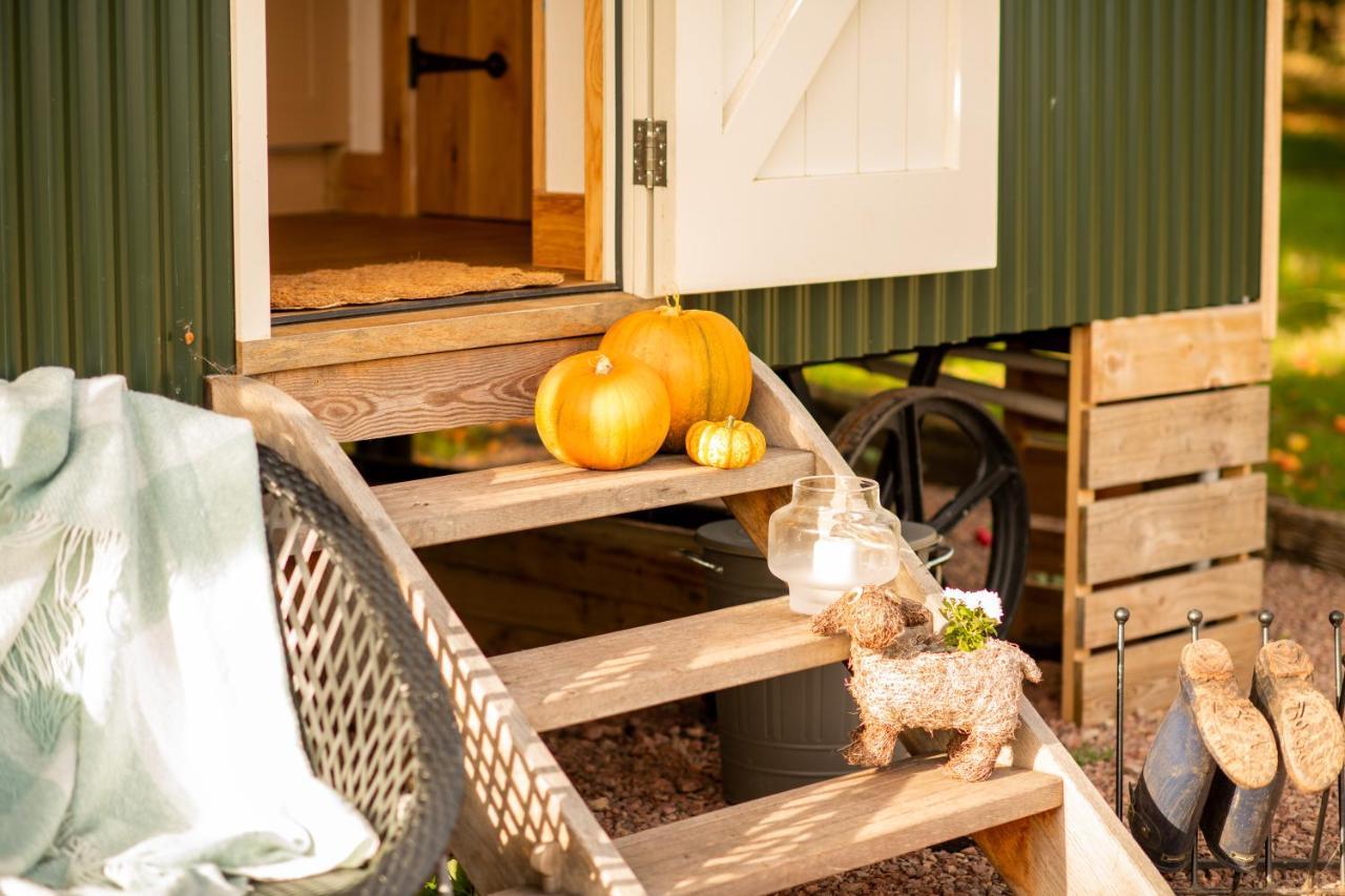 Harrys Hideout - Shepherd'S Huts At Harrys Cottages Pen-y-Clawdd Exteriör bild