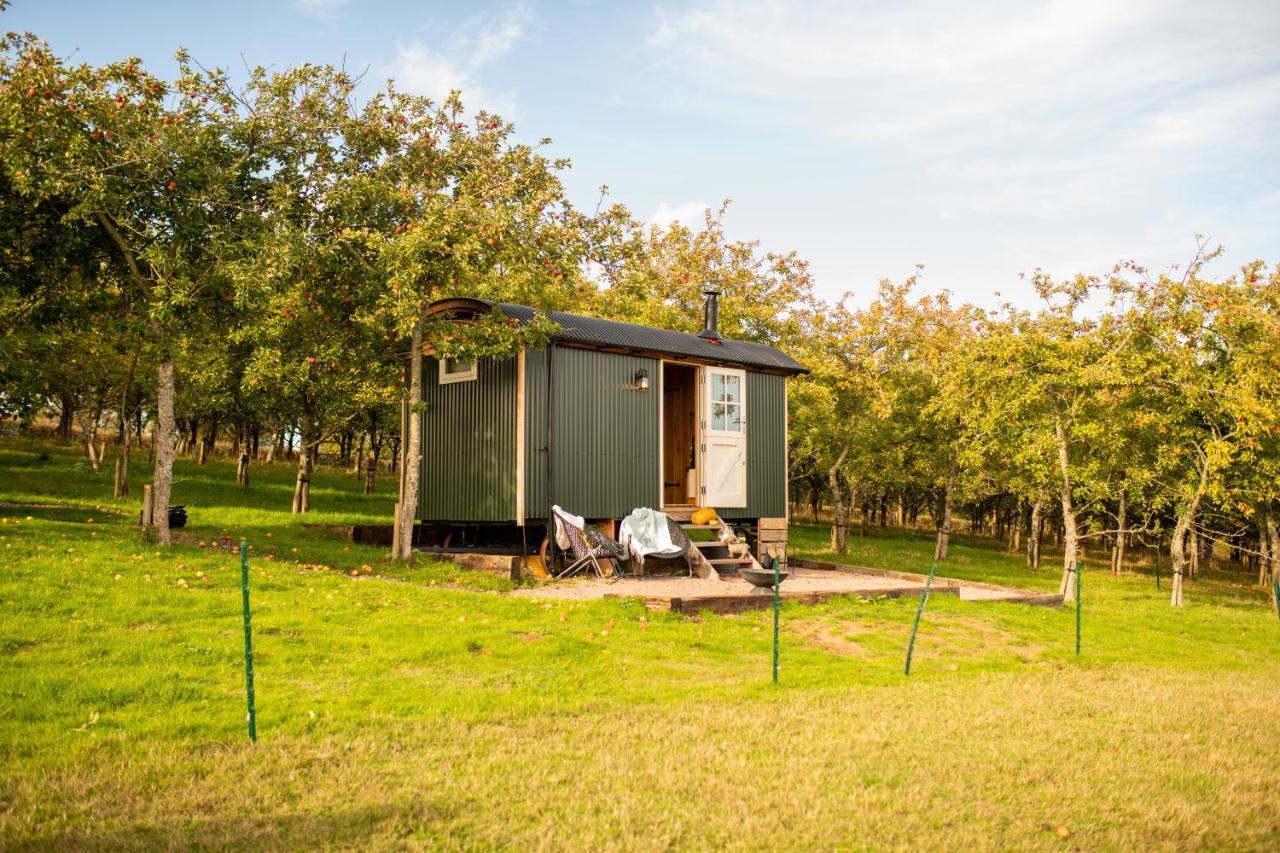 Harrys Hideout - Shepherd'S Huts At Harrys Cottages Pen-y-Clawdd Exteriör bild
