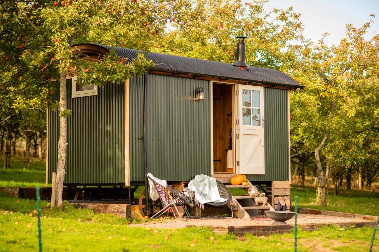 Harrys Hideout - Shepherd'S Huts At Harrys Cottages Pen-y-Clawdd Exteriör bild