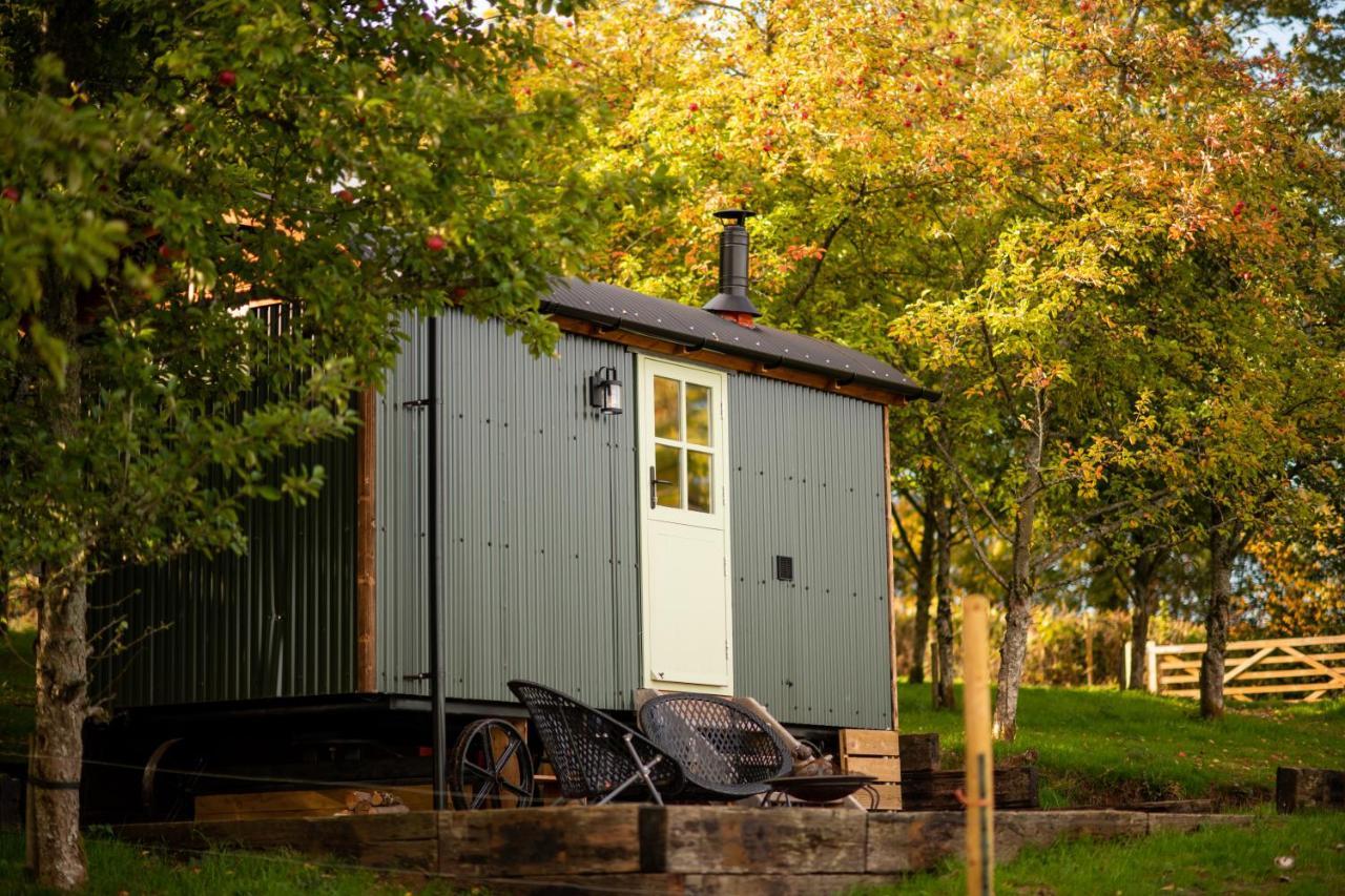 Harrys Hideout - Shepherd'S Huts At Harrys Cottages Pen-y-Clawdd Exteriör bild